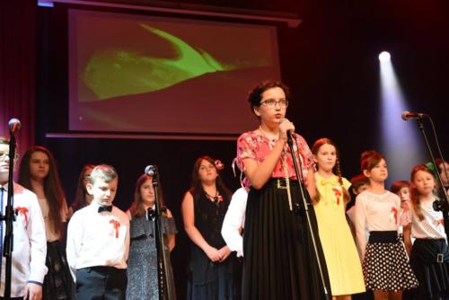 niepodleglosc2019 (10)