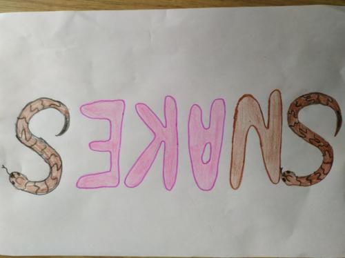 snakes